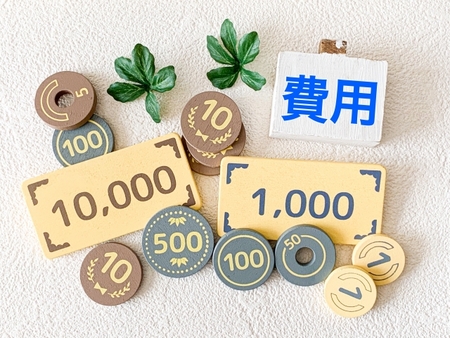 便利そうで大変そうな補助金、でも魅力的です